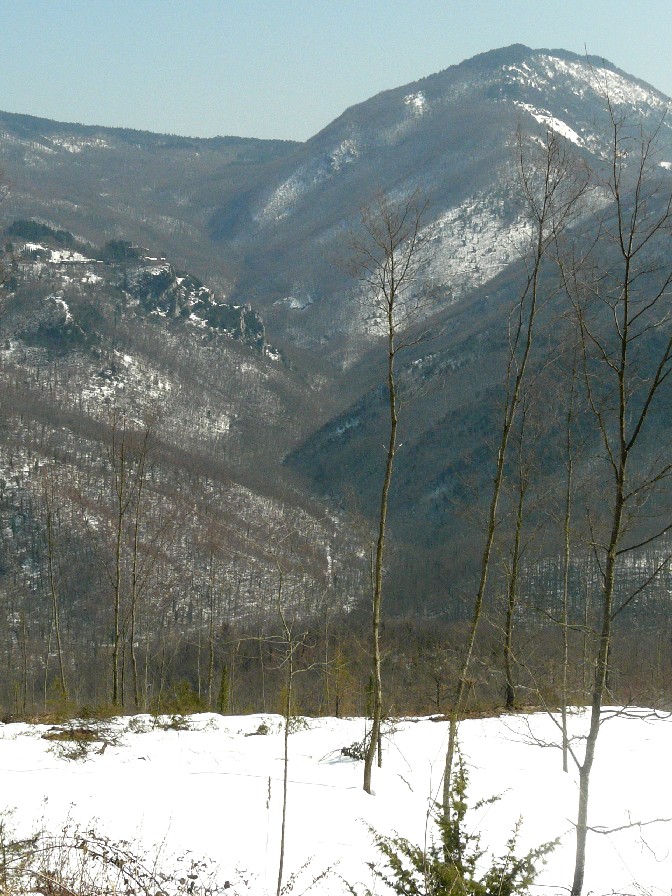 colpo di coda invernale e anfibi